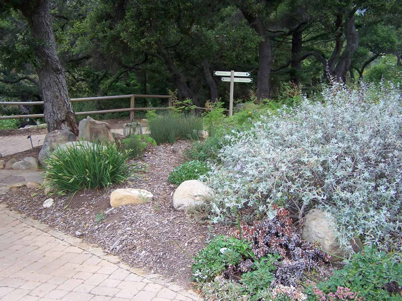 Meadow View planting area