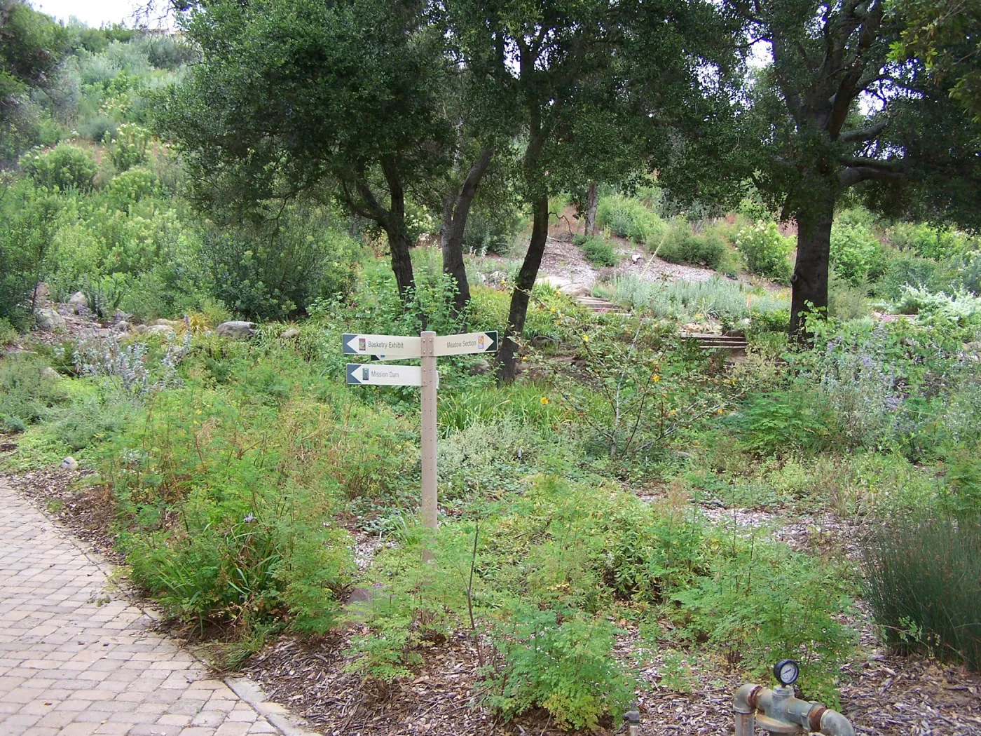 Meadow View planting area