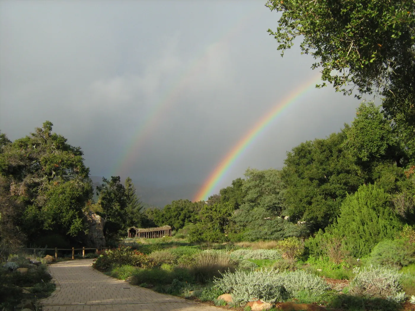 double rainbow over the Meadow, Herb Parker Exhibit, SBBG