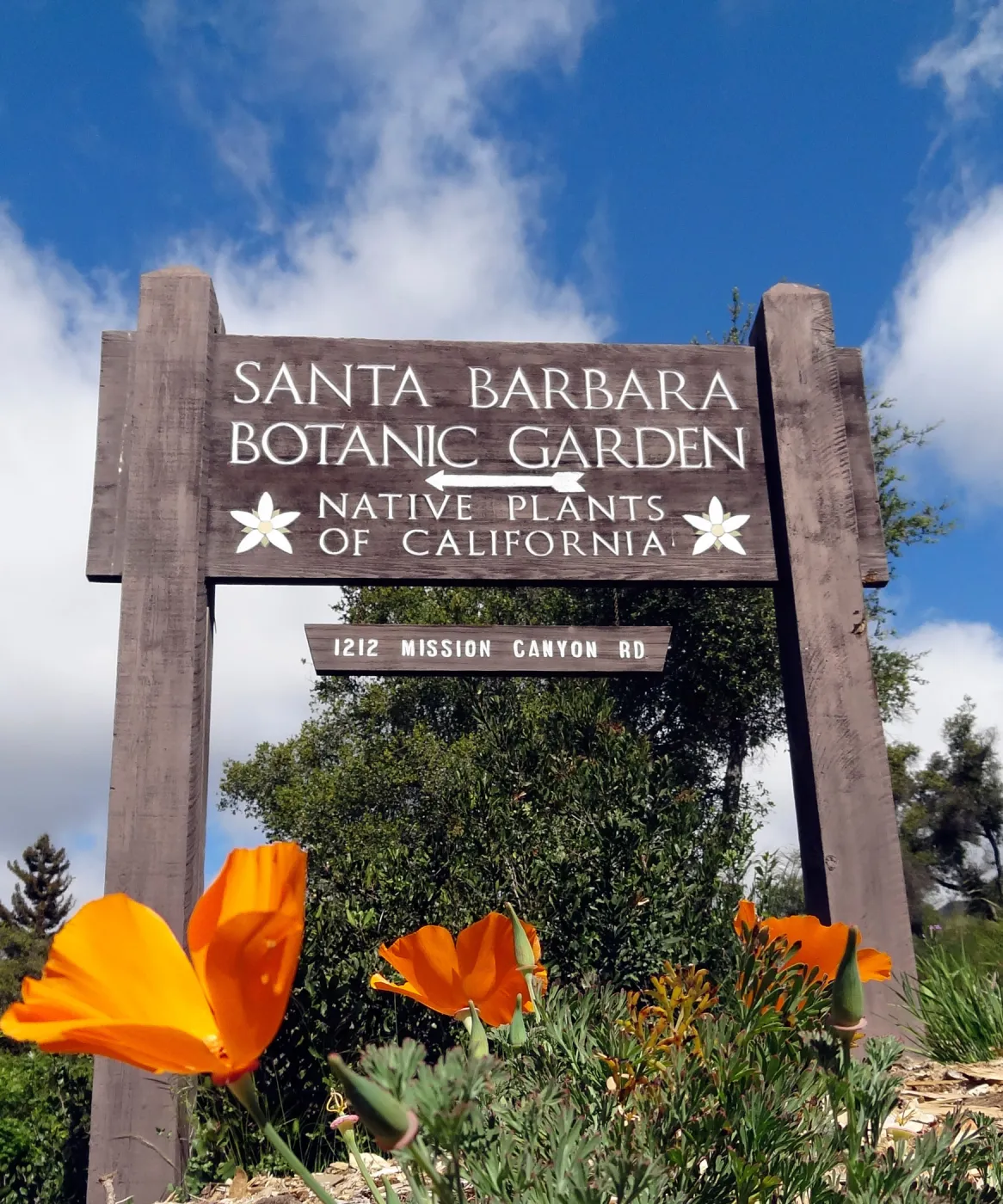 poppies, sign at front entrance, Santa Barbara Botanic Garden