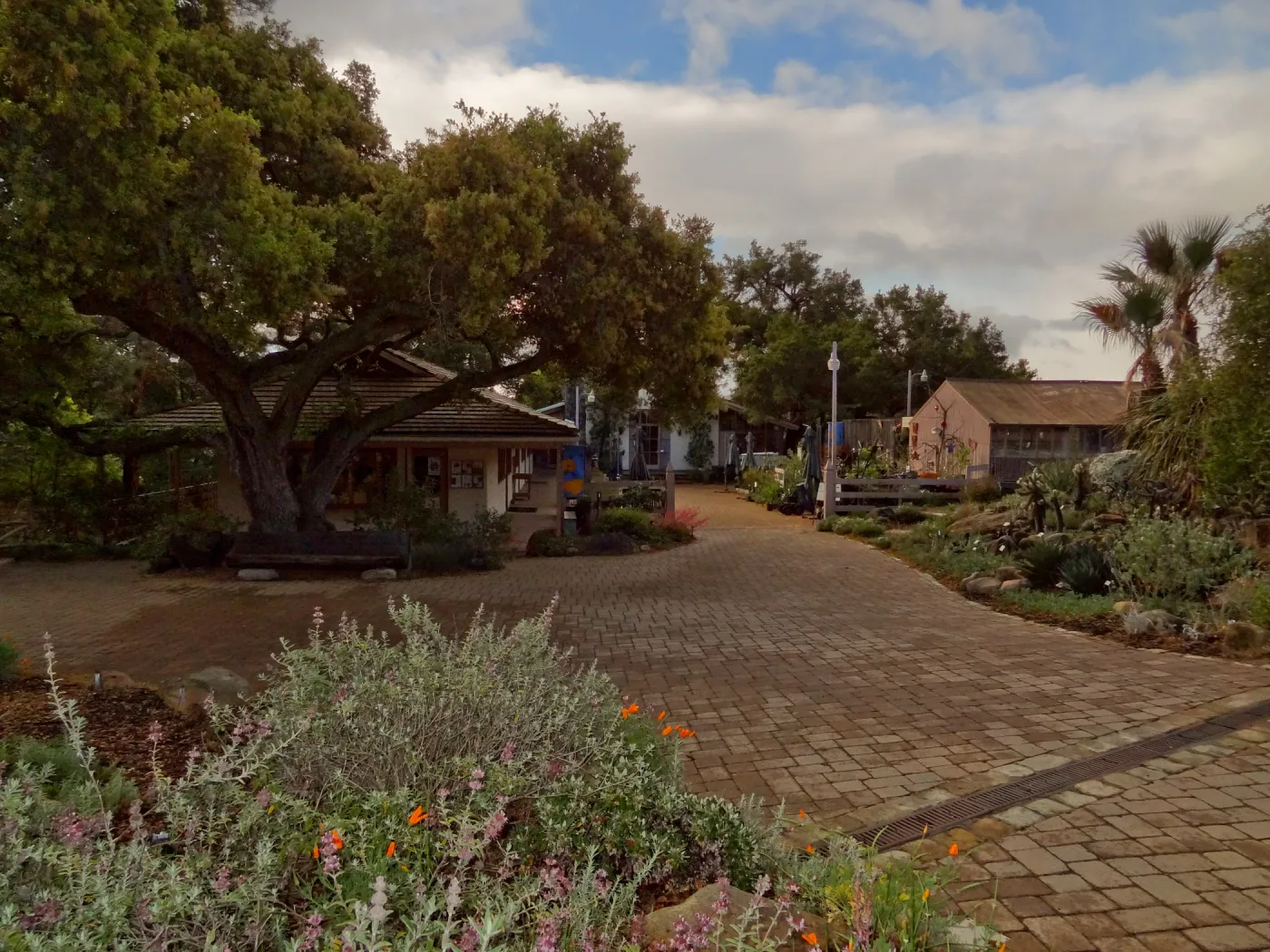 Gift Shop, Santa Barbara Botanic Garden