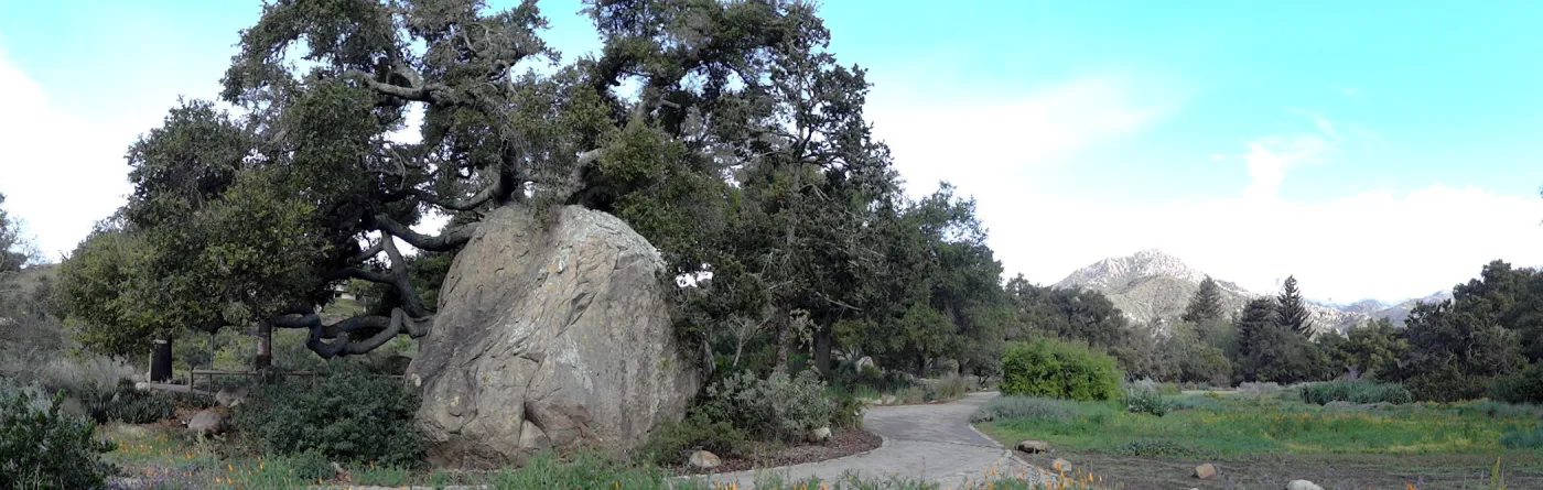 Blaksley Boulder panorama, Santa Barbara Botanic Garden