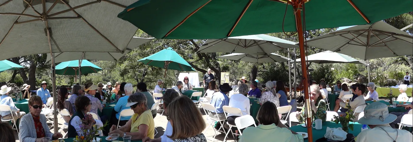Volunteer Luncheon, 2012, panorama