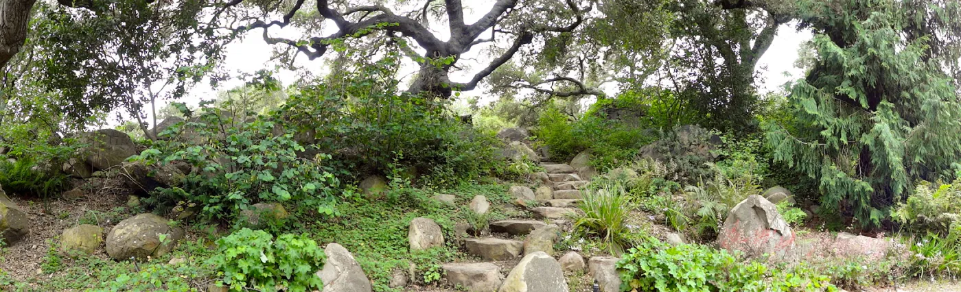 stone steps to the Manzanita Section, oak canopy, panorama