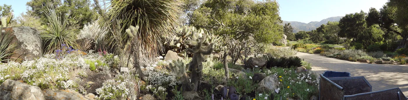 Desert Section, panorama