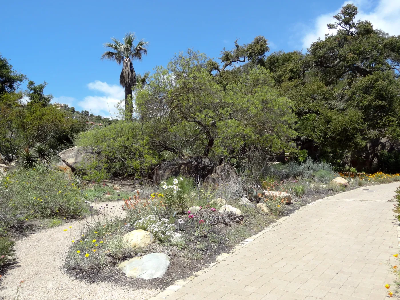 Desert Section