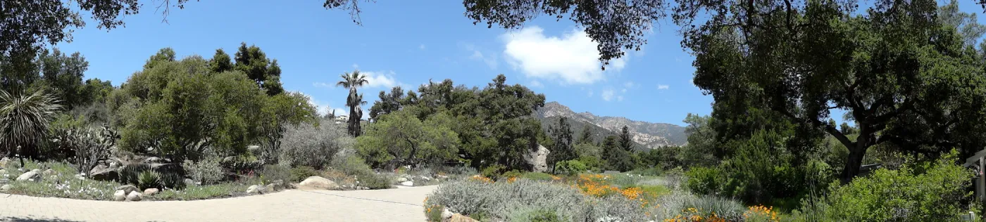 view of Meadow to the mountains, panorama