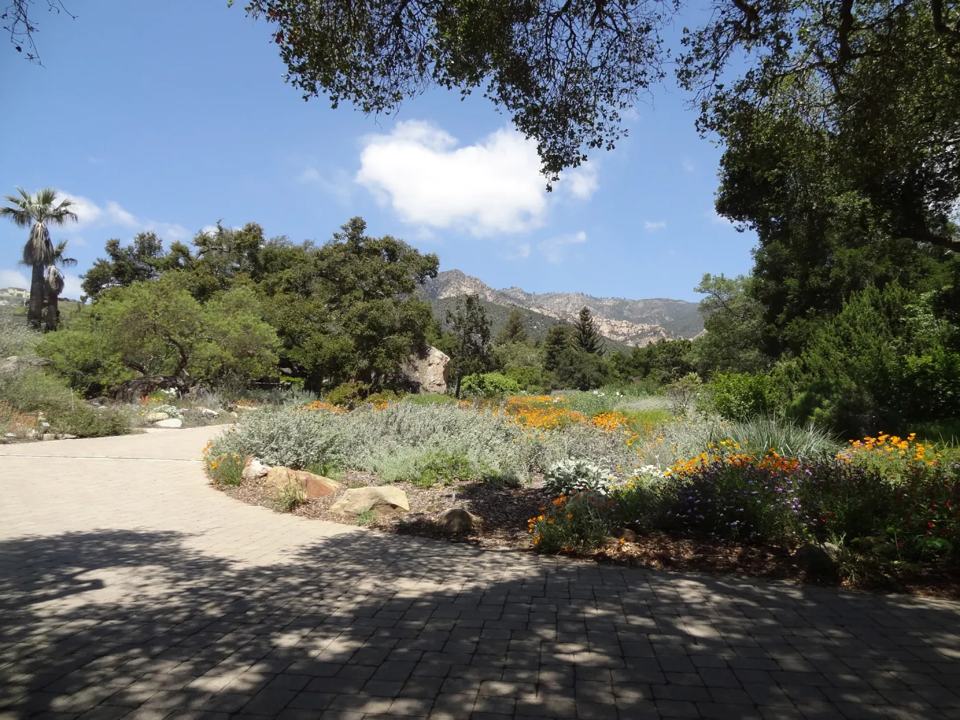 view of Meadow to the mountains, 