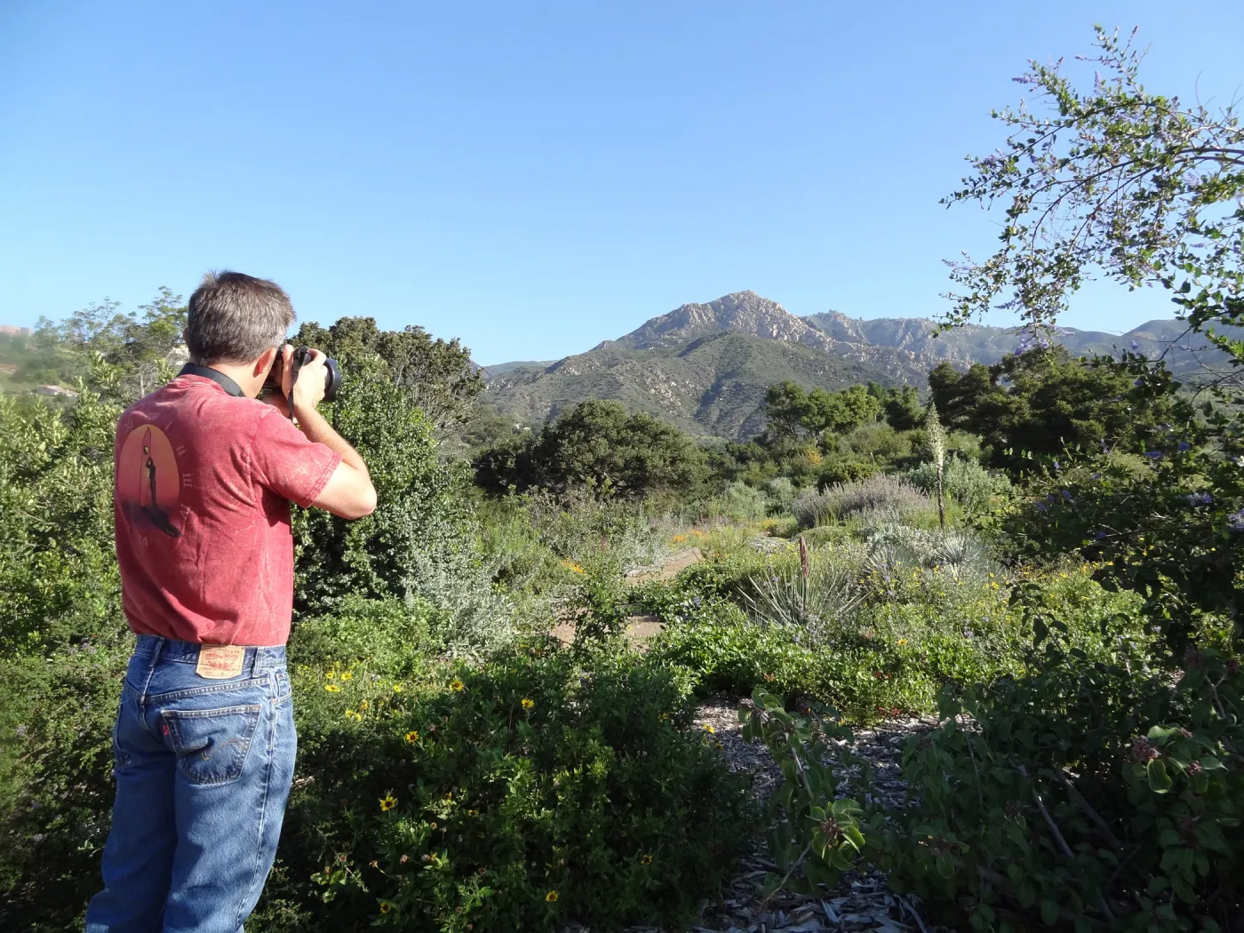 top of Porter Trail, Ceanothus Section, John Wardlaw photographer