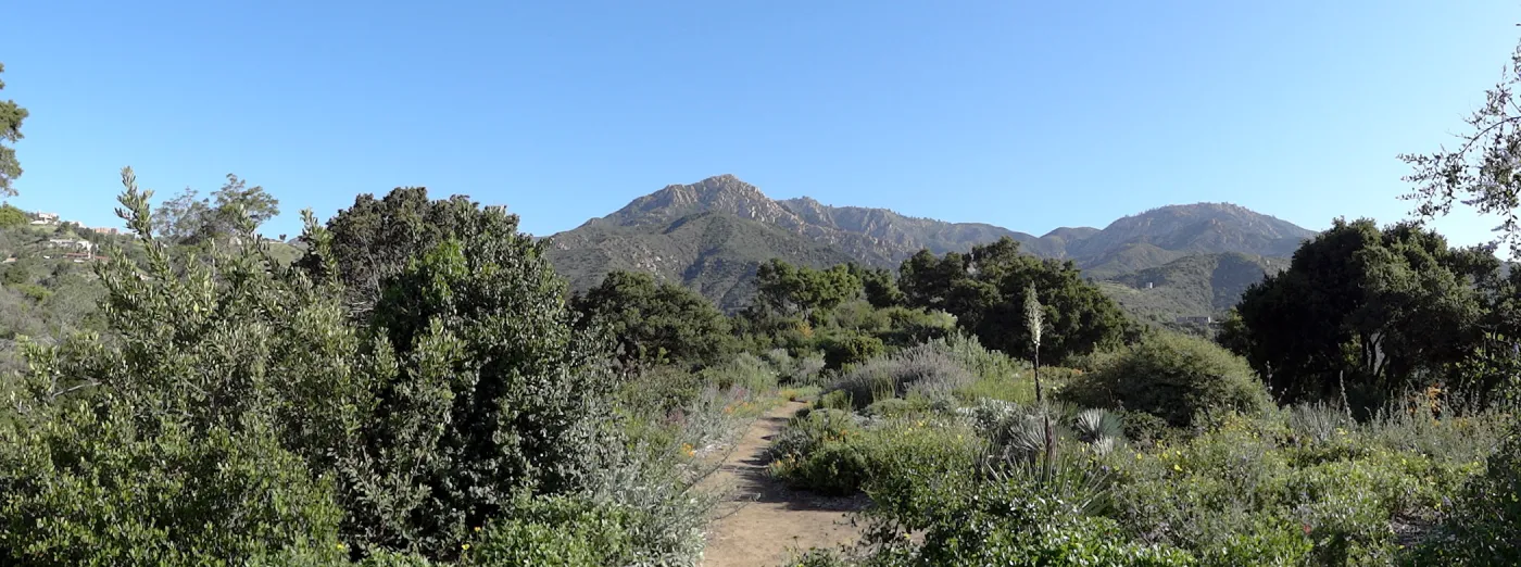 top of Porter Trail, Ceanothus Section, view to La Cumbre Peak, panorama