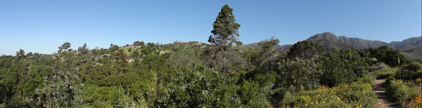 top of Porter Trail, Ceanothus Section, view to La Cumbre Peak, panorama