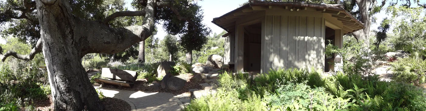 Information Kiosk, Quercus agrifolia (Coastal Live Oak), wood bench, panorama