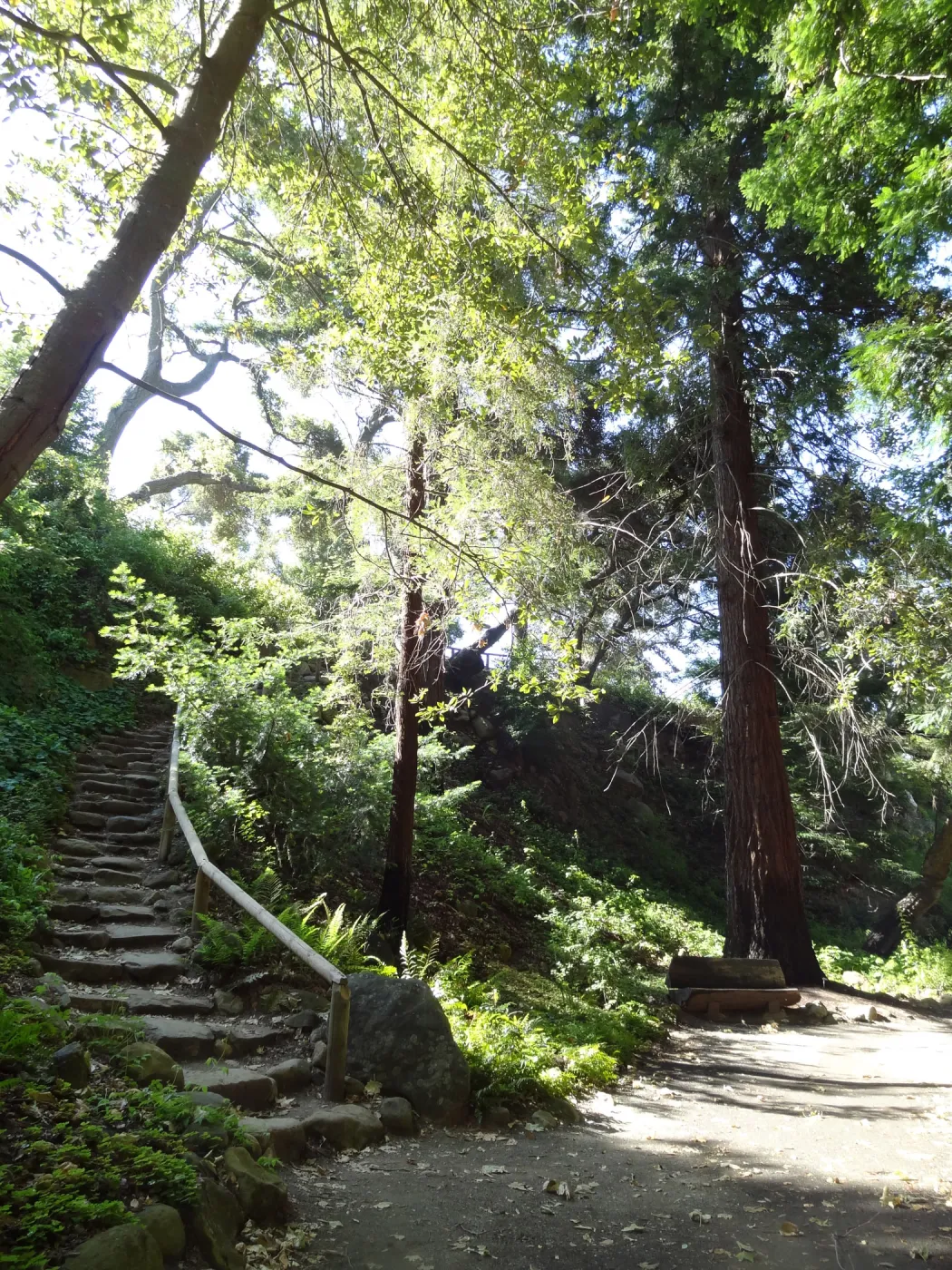 Indian Steps, Redwood Section