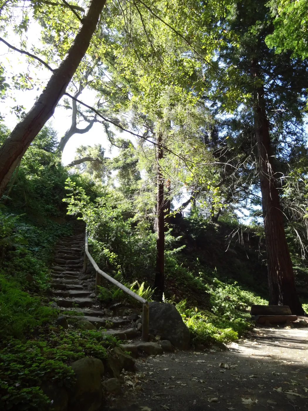 Indian Steps, Redwood Section