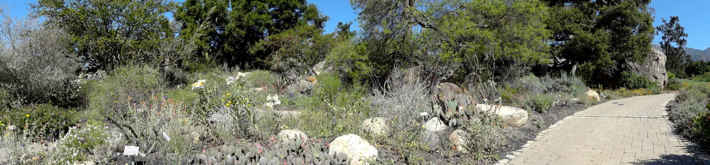 Desert Section, panorama