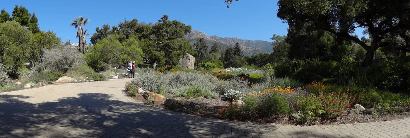 view of Meadow from entrance oak, panorama