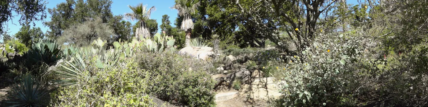 Desert Section, panorama