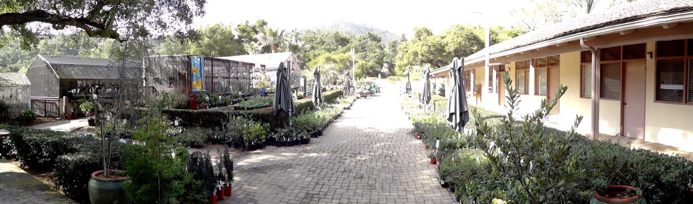 Garden Growers Nursery, Courtyard, panorama, SBBG Spring Plant Sale 2012