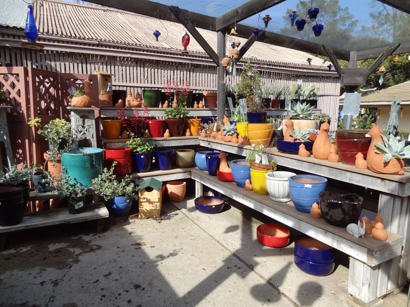 colorful pots on display, SBBG Spring Plant Sale 2012