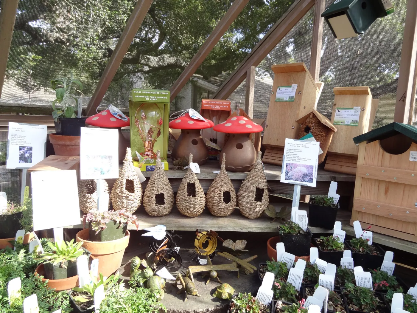 bird feeders on display, SBBG Spring Plant Sale 2012
