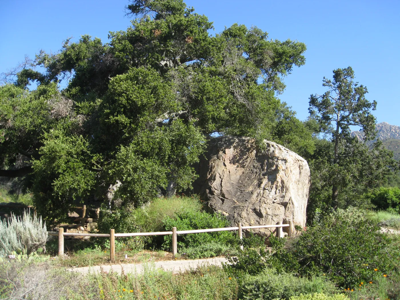 Blaksley Boulder