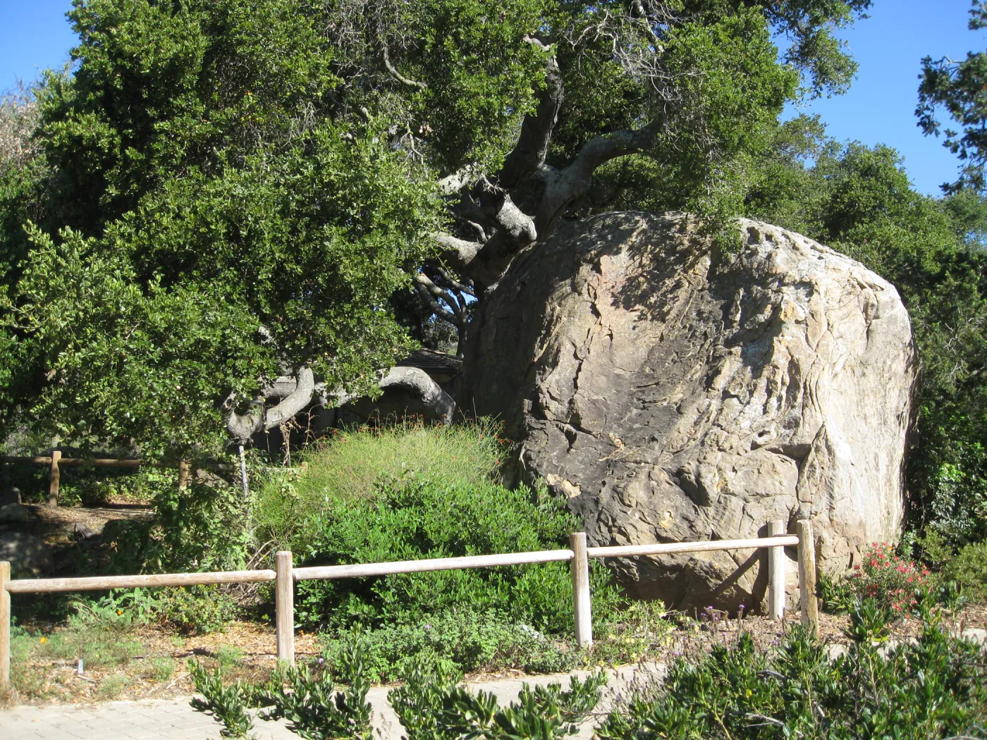 Blaksley Boulder
