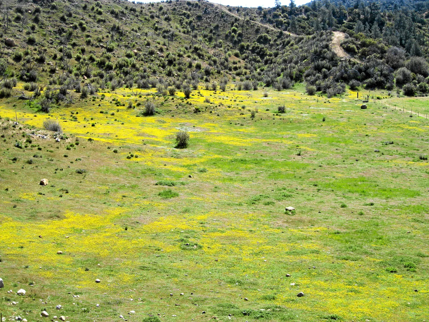 Vicinity of Ozena Ranger Station, Hwy 33