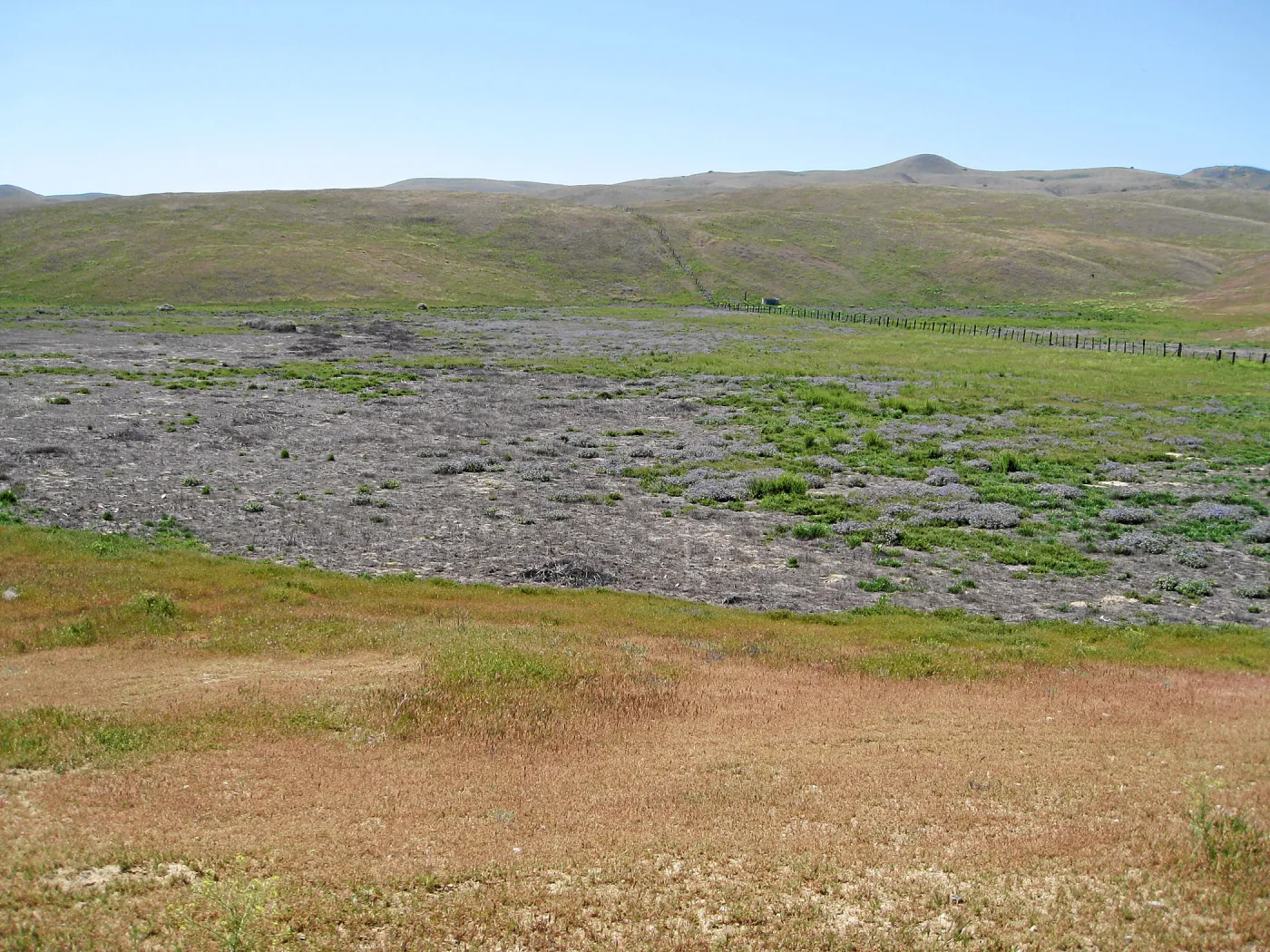 Soda Lake Road, south end of Carrizo Plain
