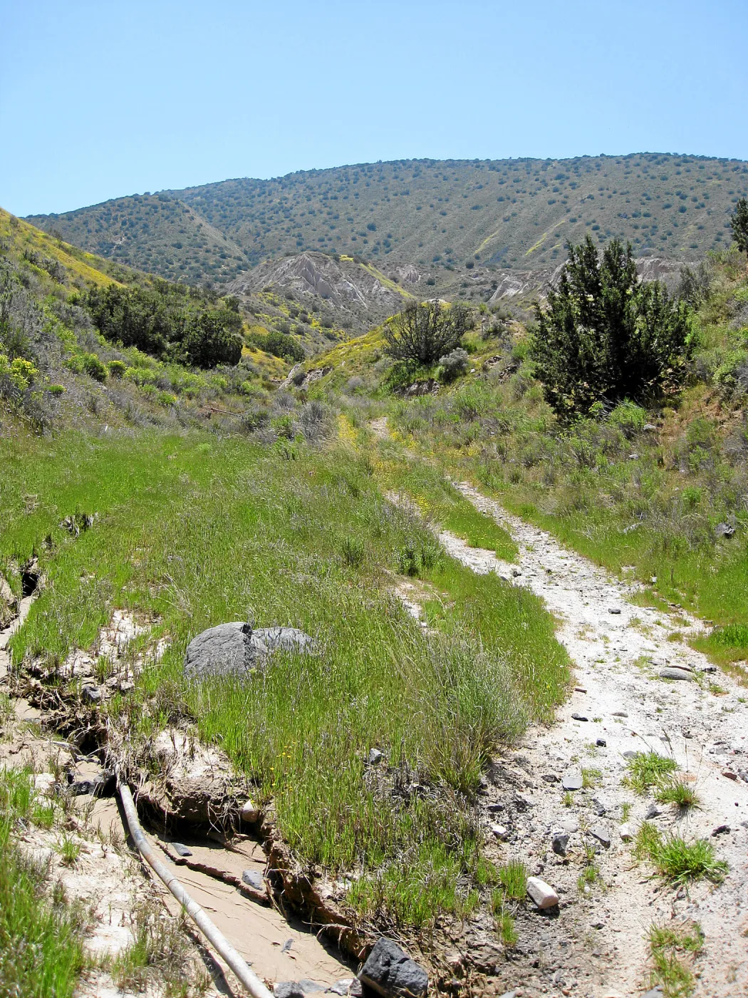 Padrones Canyon, Carrizo Plain