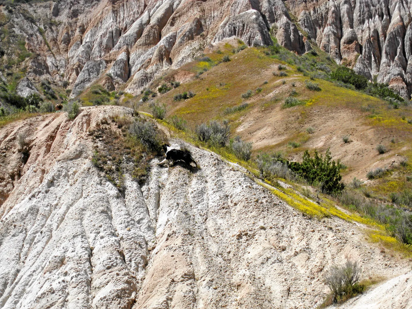 Padrones Canyon, Carrizo Plain