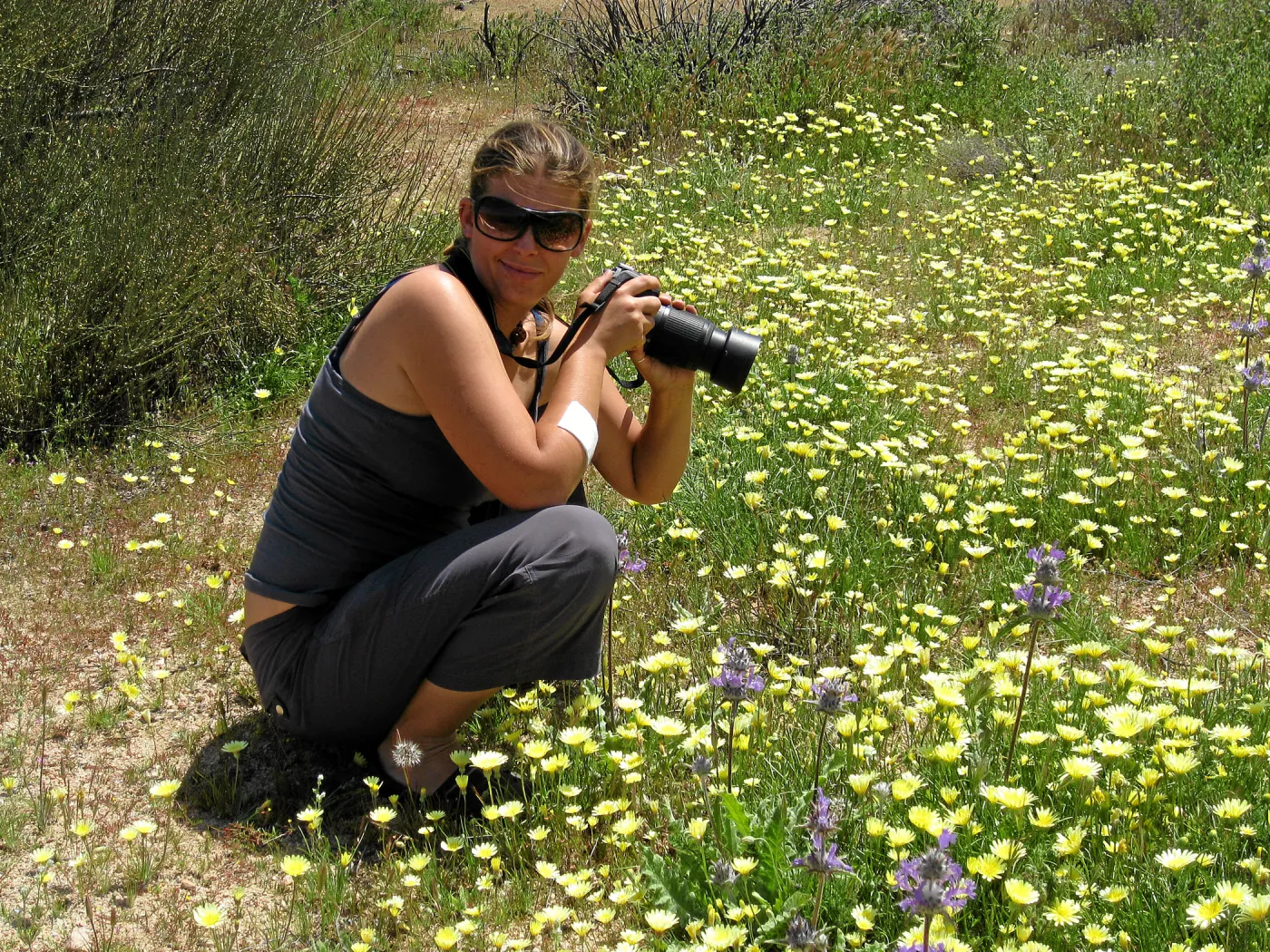 Near jct of Soda Lake and road to Padrones Spring. Heather Wenhau, cream cups