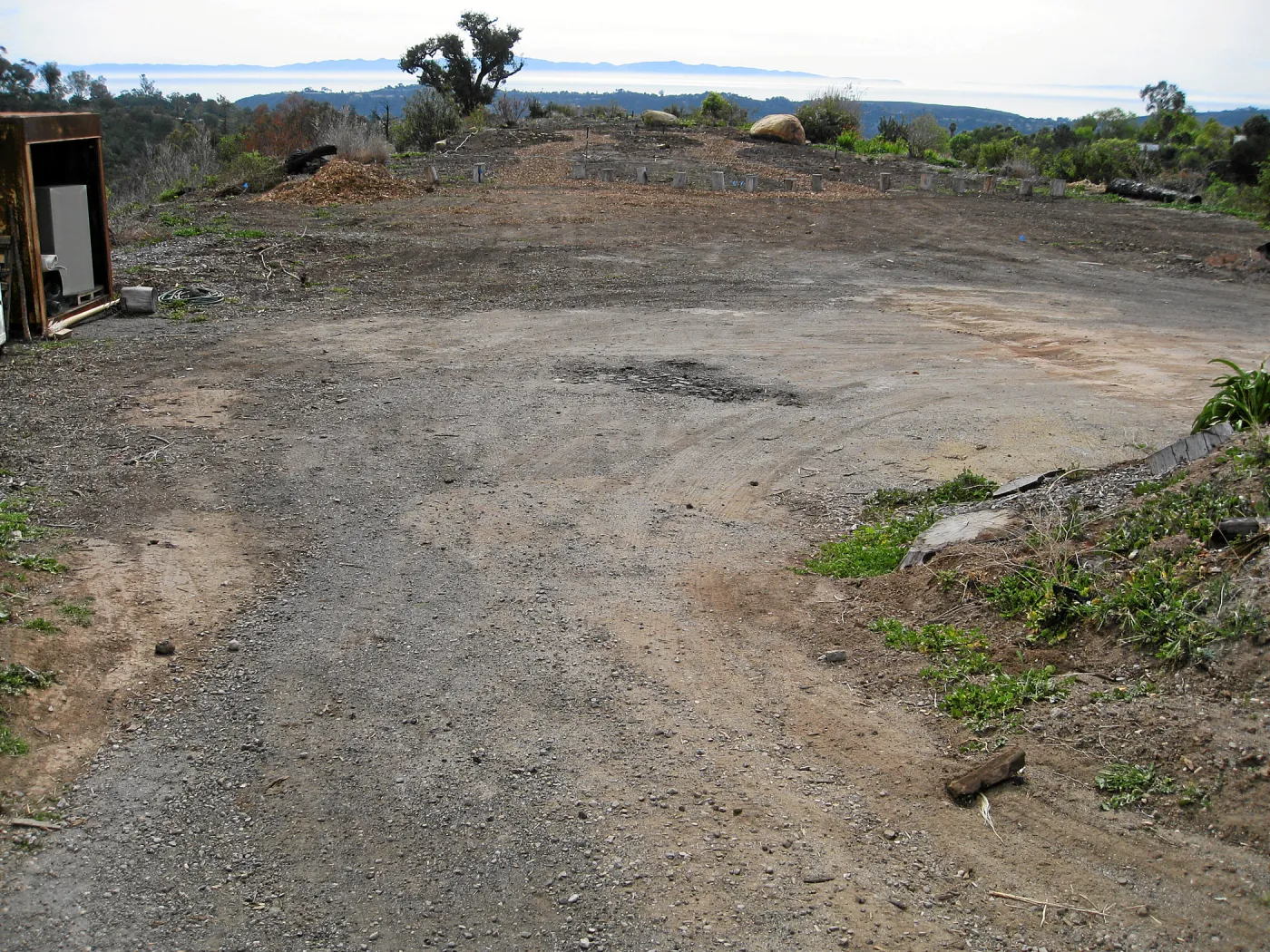 Gane House site seeded to wildflowers