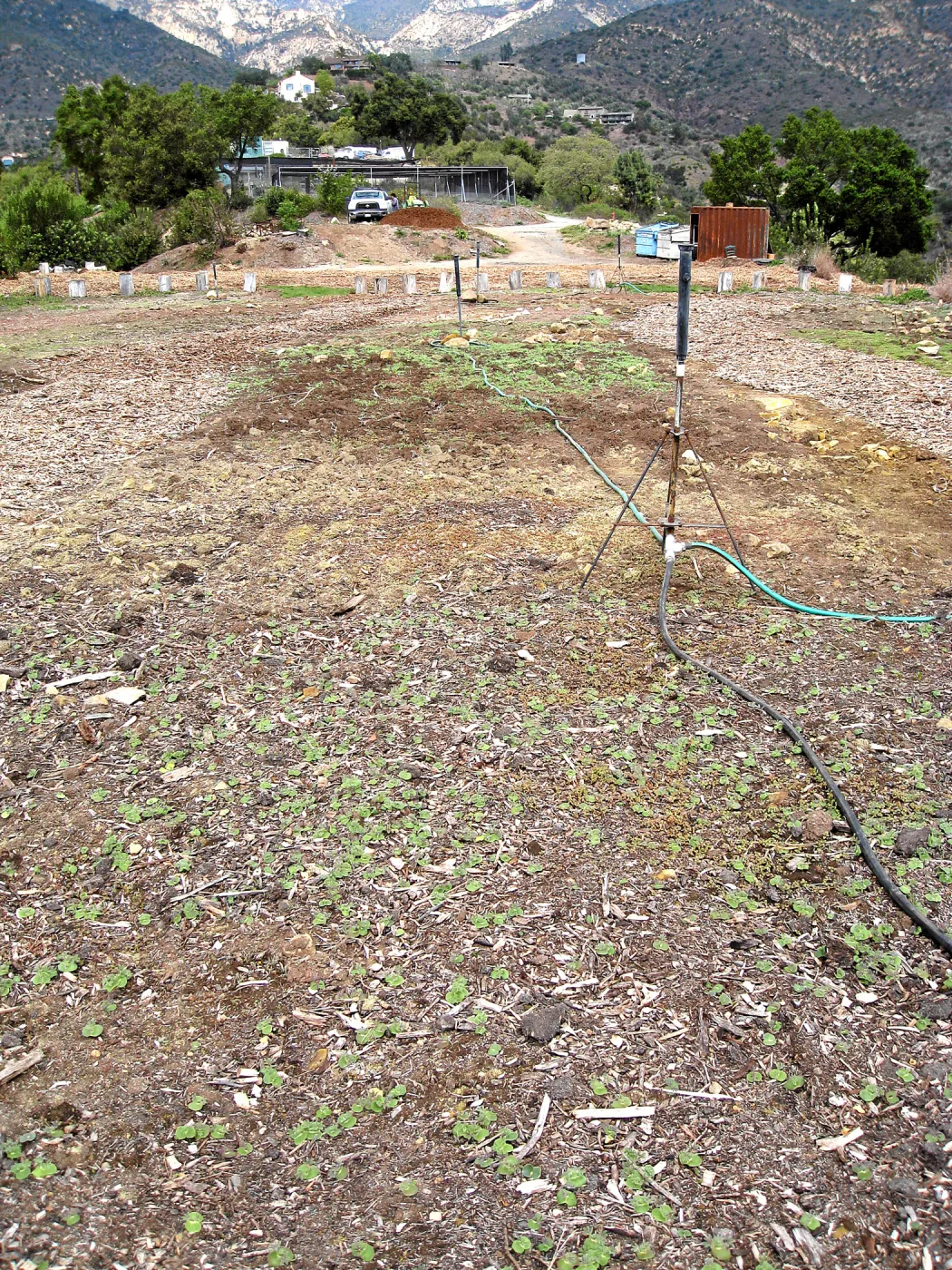 Gane site sowed to wildflowers