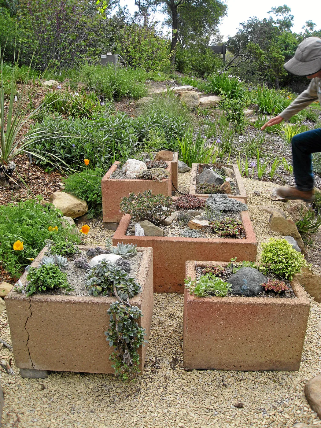 New trough gardens in the Meadow View