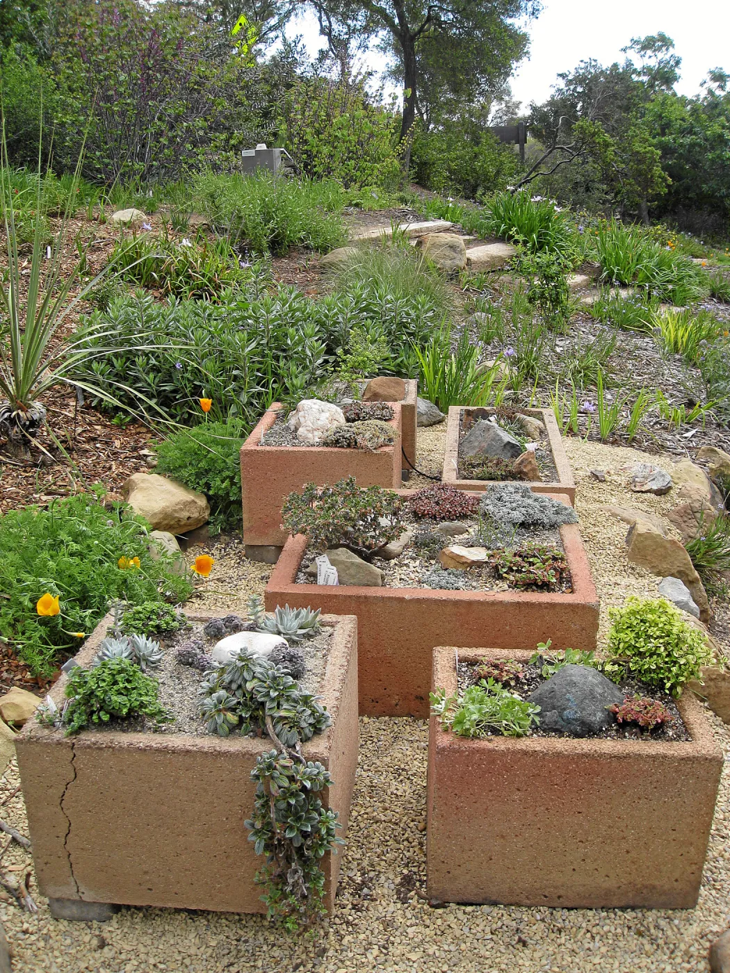 New trough gardens in the Meadow View