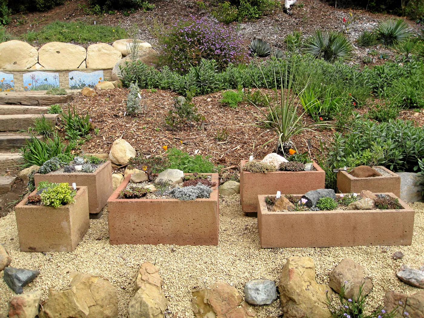 New trough gardens in the Meadow View