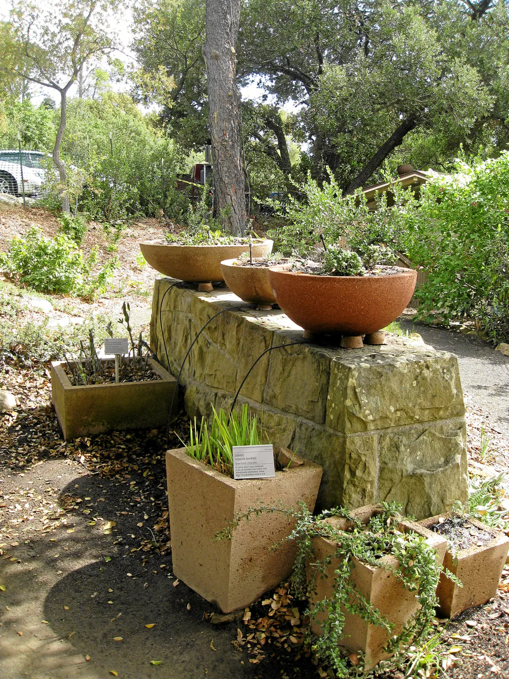 Pots at Conservation Garden