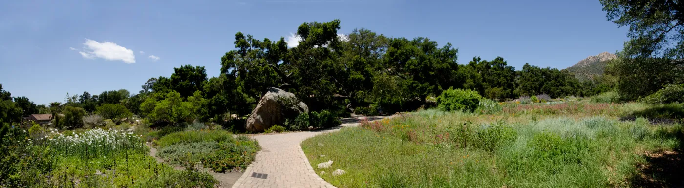 Blaksley Boulder and Meadow panorama