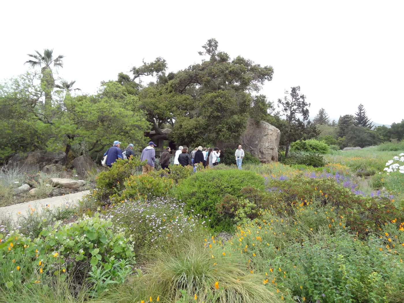 Docent Tours in the Garden, National Public Gardens Day 2012, SBBG