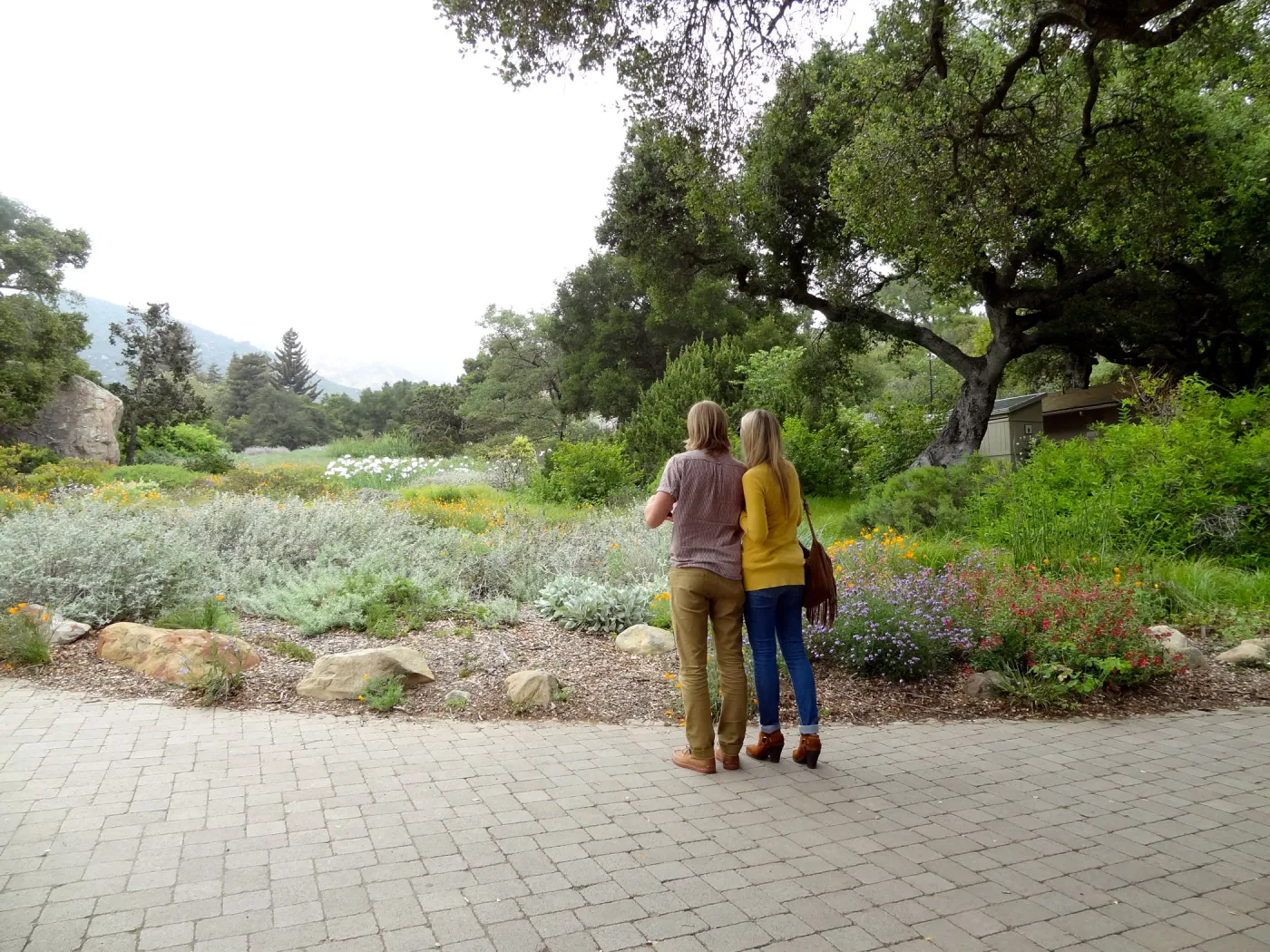 couple looking toward the Meadow, National Public Gardens Day 2012, SBBG