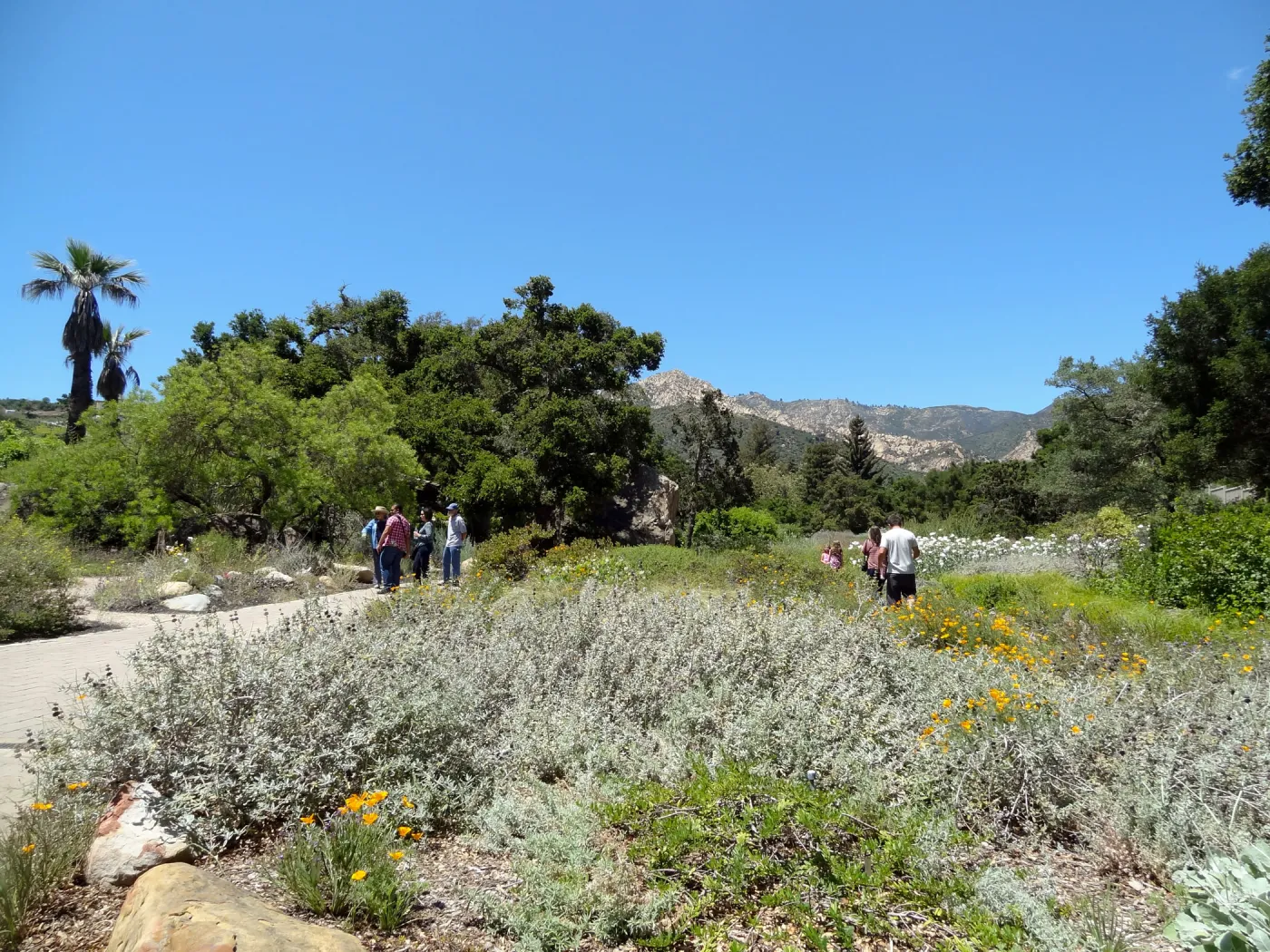 Visitors in the Garden, Meadow and Desert Section