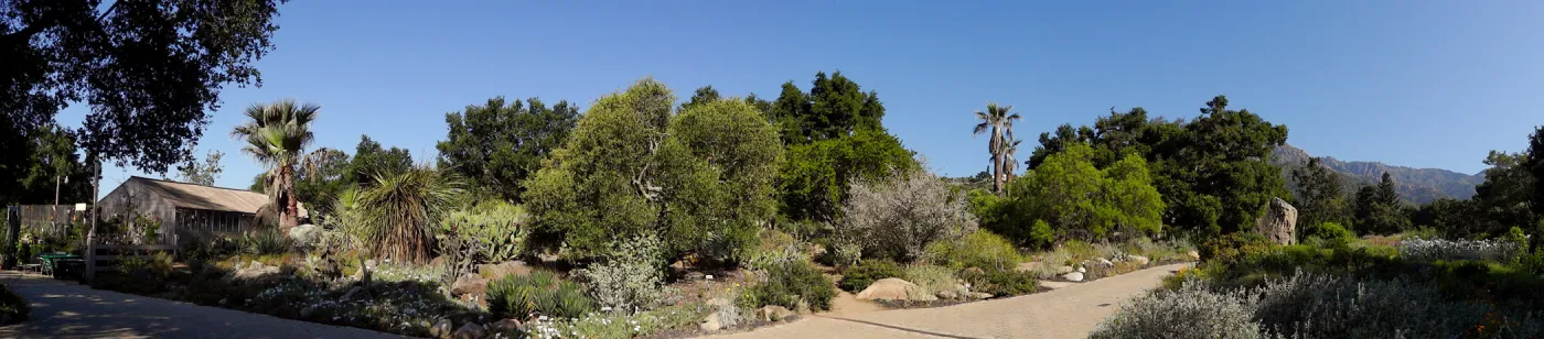Entrance panorama, Garden Growers Lathe House to the Blaksley Boulder, Desert Section panorama