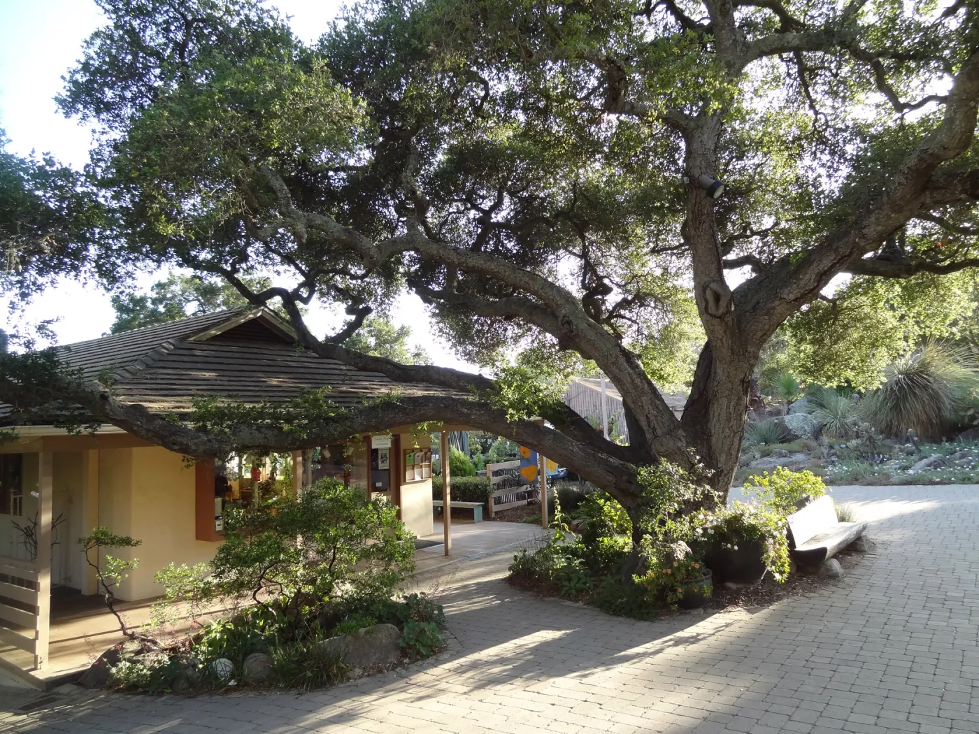 North wing, Garden Shop and Garden Entrance oak