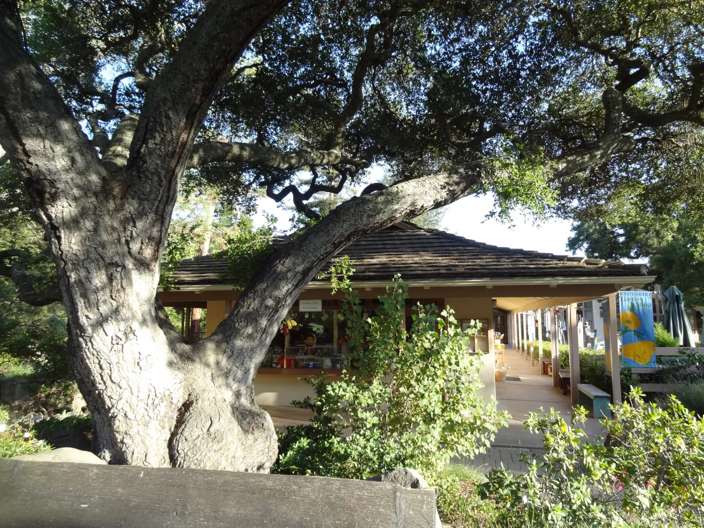 North wing, Garden Shop and Garden Entrance oak