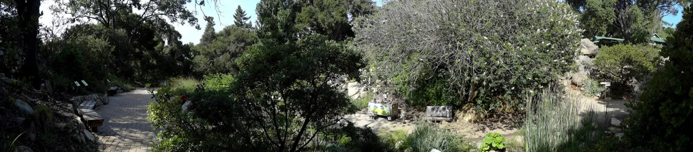 Arroyo Section panorama
