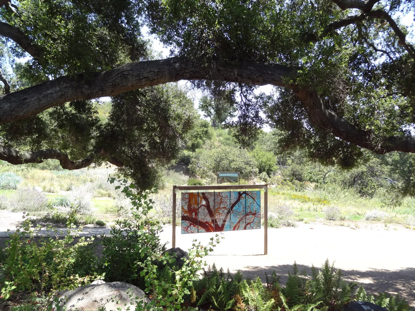 stained glass art display under Meadow Oaks