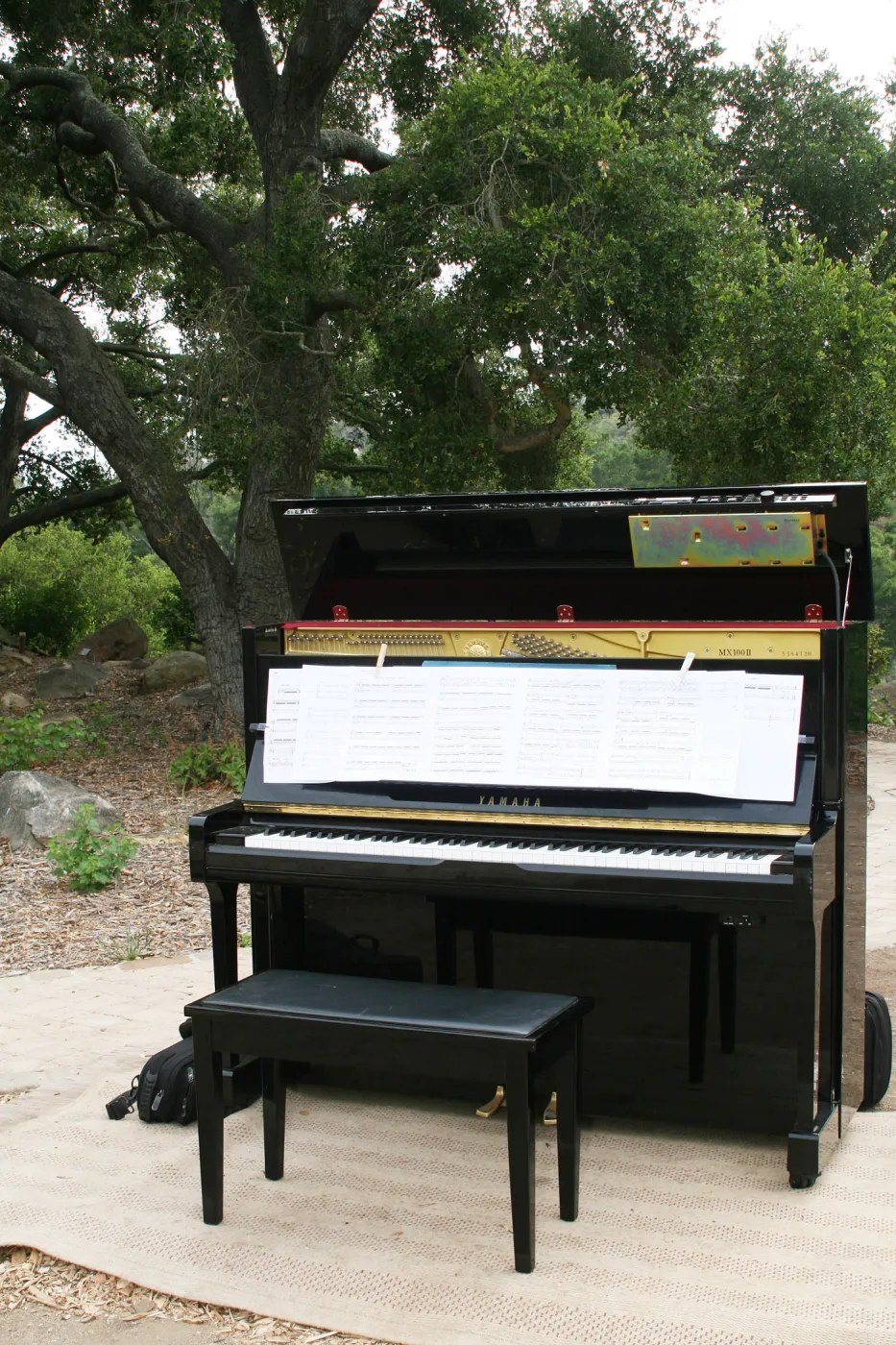 piano, Rose and Nightingale concert in the Garden event