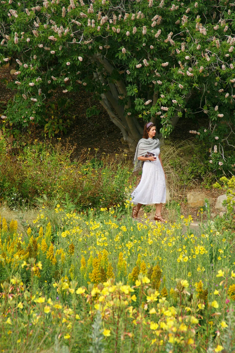 Lady in Meadow, Evening primrose and Aesculus in bloom, Rose and Nightingale concert in the Garden event