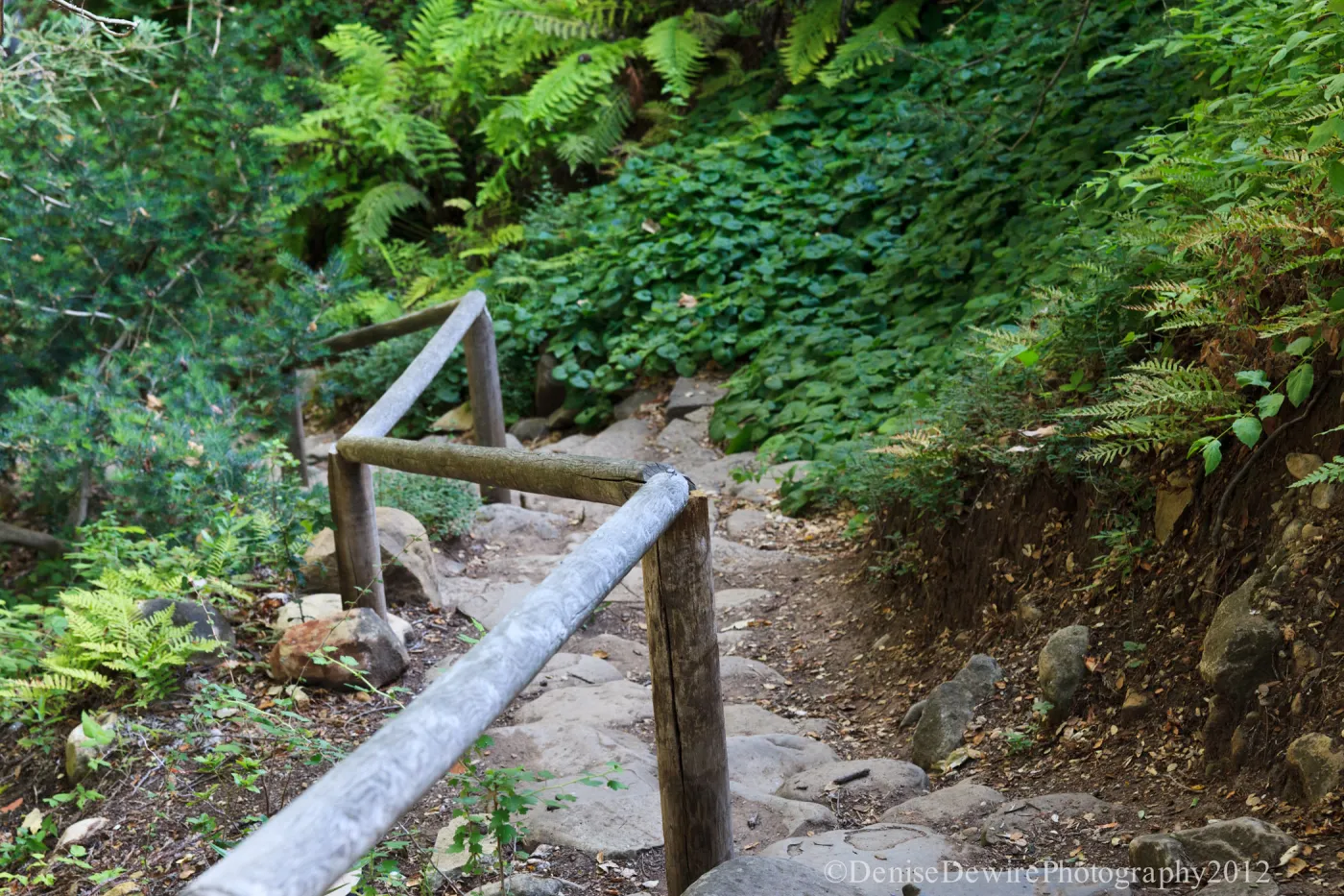 Indian Steps