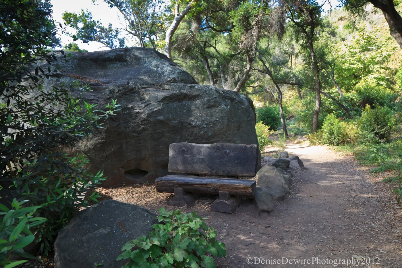 wood bench and boulder, Canyon Section